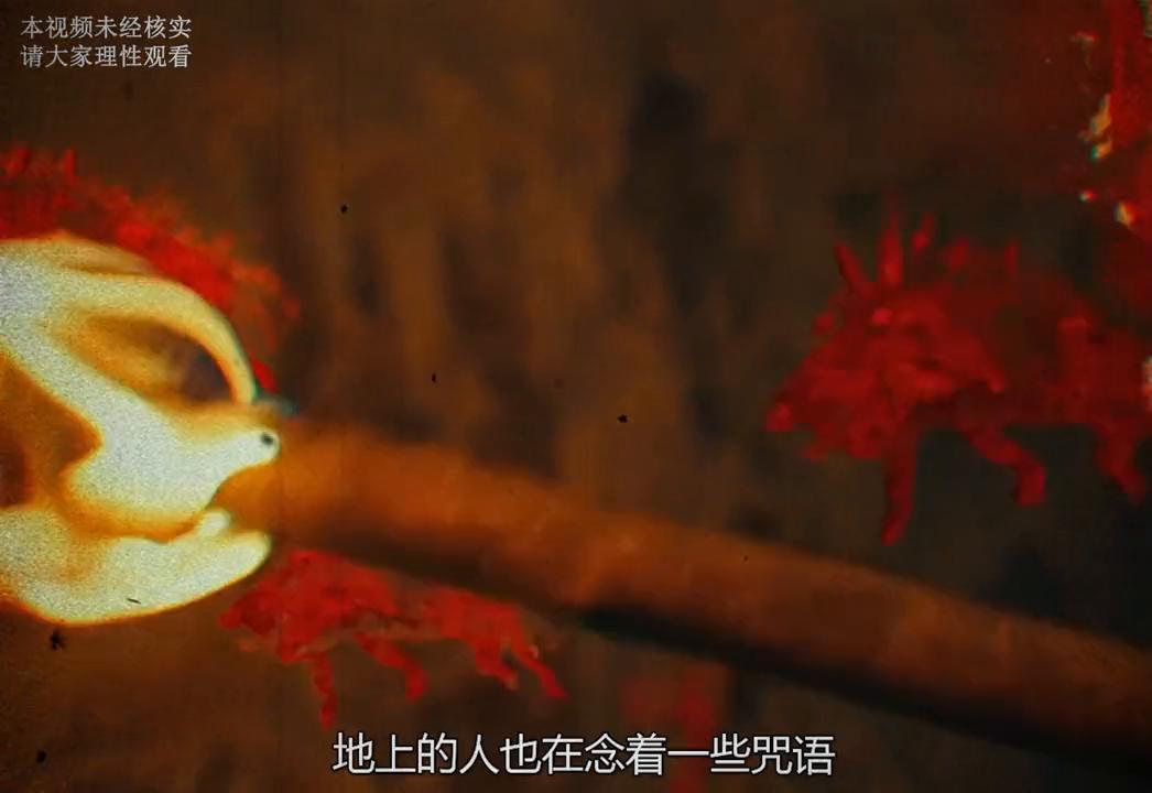 揭秘749局，國語版在線觀看背后的神秘與真相