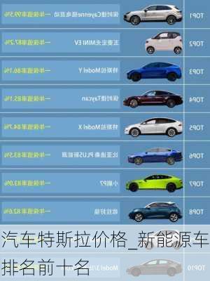 204年汽車市場新風(fēng)向，特斯拉領(lǐng)銜的新能源汽車報價大全