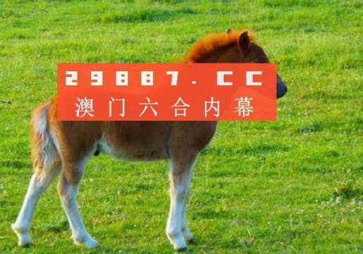 澳門6合開彩視頻，最新版查詢表格的深度解析與使用指南澳門6合開獎(jiǎng)結(jié)果記錄