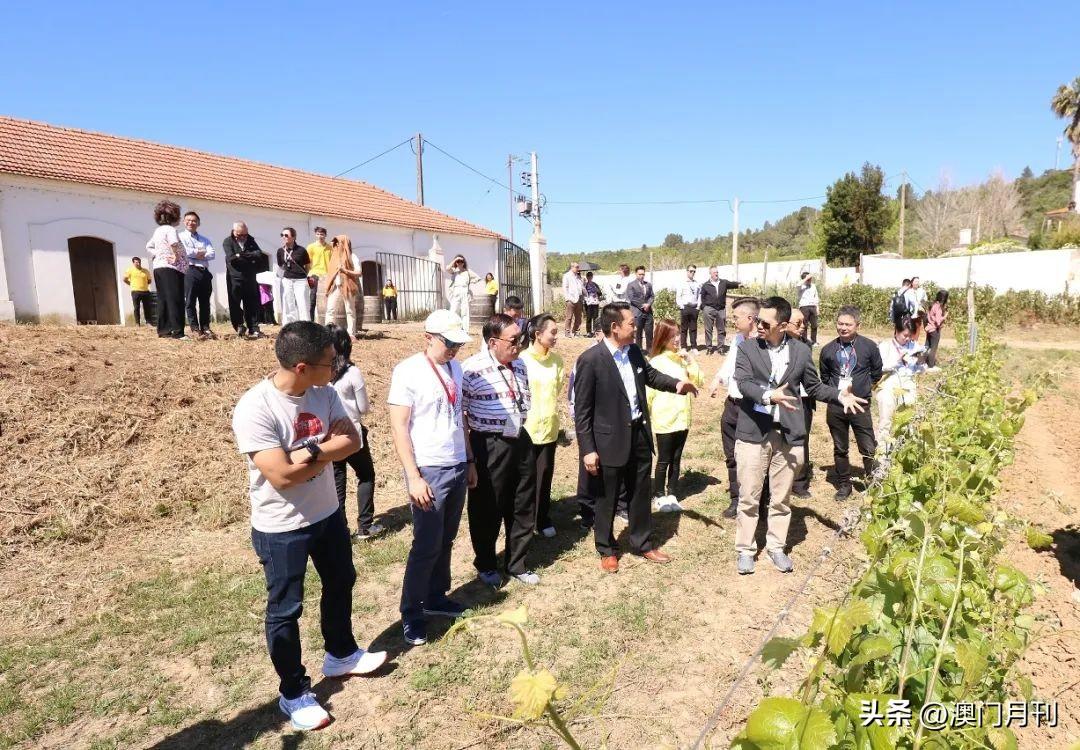 澳門6合開彩全年查詢表，手機(jī)版下載與安裝指南2021澳門6合開彩開獎