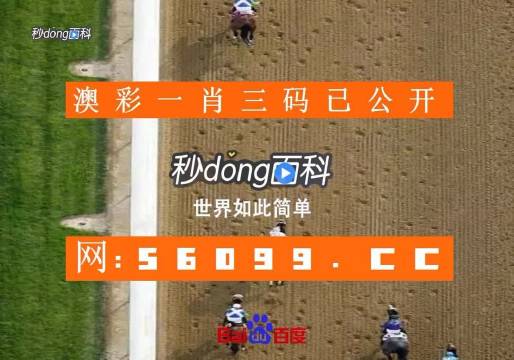 掌握未來，從這里開始 最新澳門6合開彩查詢官網(wǎng)網(wǎng)址全攻略澳門6合開彩開獎結(jié)果